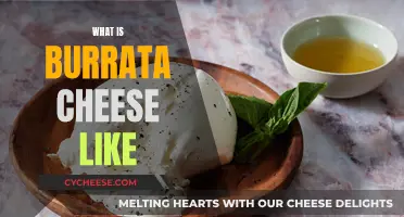 Burrata Cheese: A Creamy, Dreamy Italian Indulgence