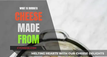 Burrata Cheese: Crafting the Creamy, Soft Italian Cheese