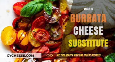 Discover the Best Burrata Cheese Substitute for Your Recipes