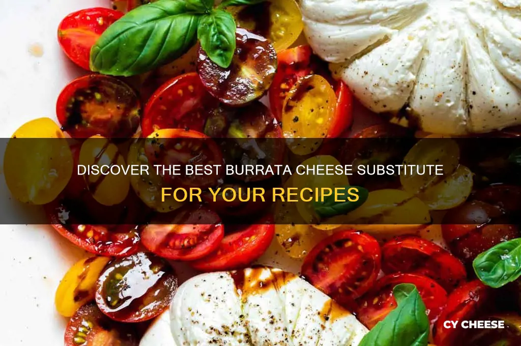 what is burrata cheese substitute