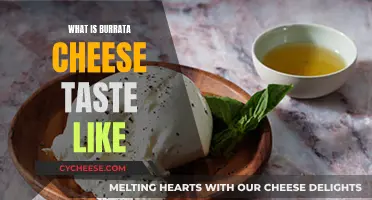 The Unique Taste of Burrata Cheese