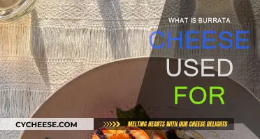 Burrata Cheese: Uses and Applications