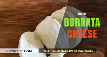 Discover the Creamy Delight: What is Burrata Cheese?