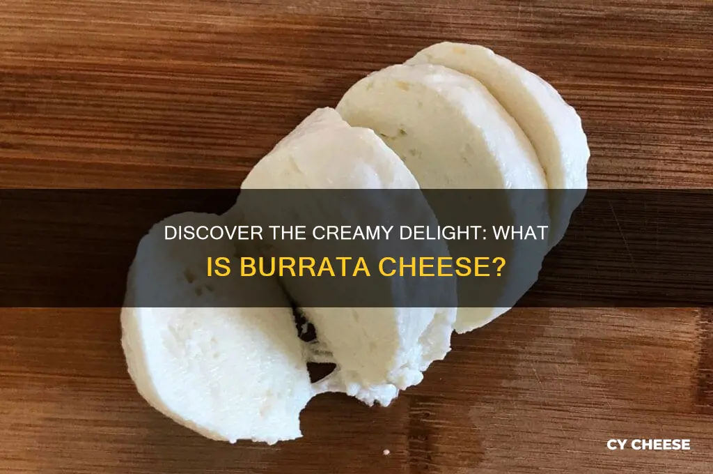 what is burrata cheese