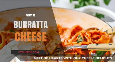 Discover the Creamy Delight: What is Burrata Cheese?