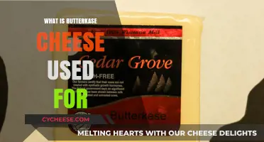 Butterkäse Cheese: The Ultimate Melted Sandwich Topping