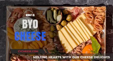 What is BYO Cheese? A Guide to Bring Your Own Cheese