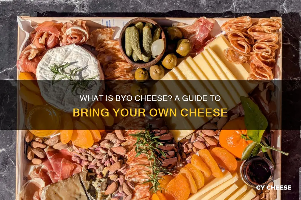 what is byo cheese