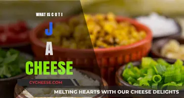 Discovering Cotija Cheese: Origins, Uses, and Flavor Profile Explained