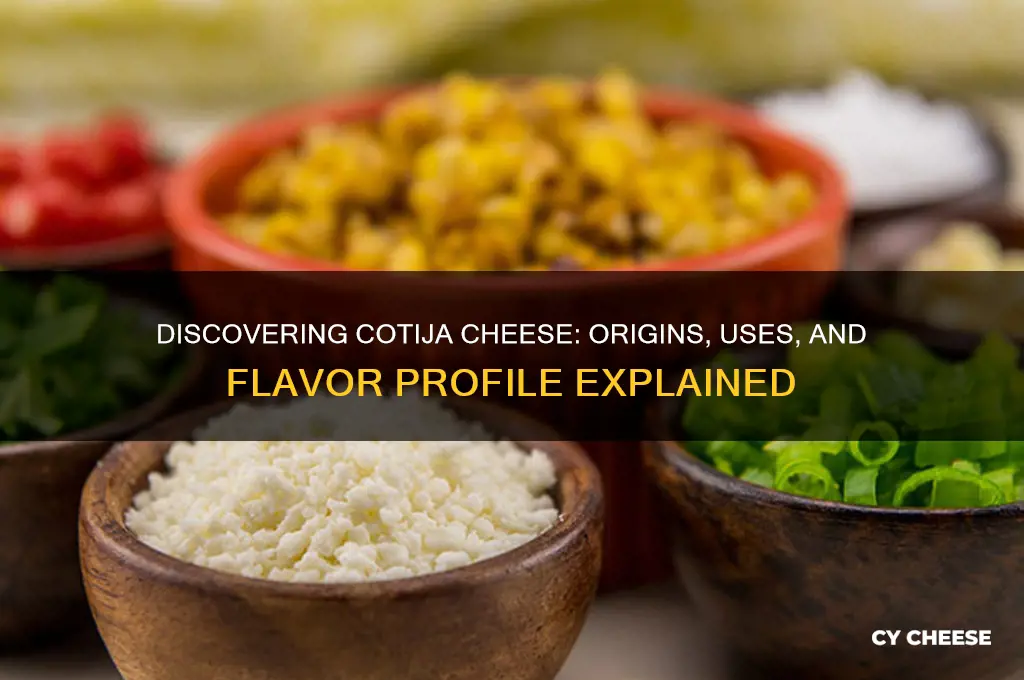 what is c o t i j a cheese