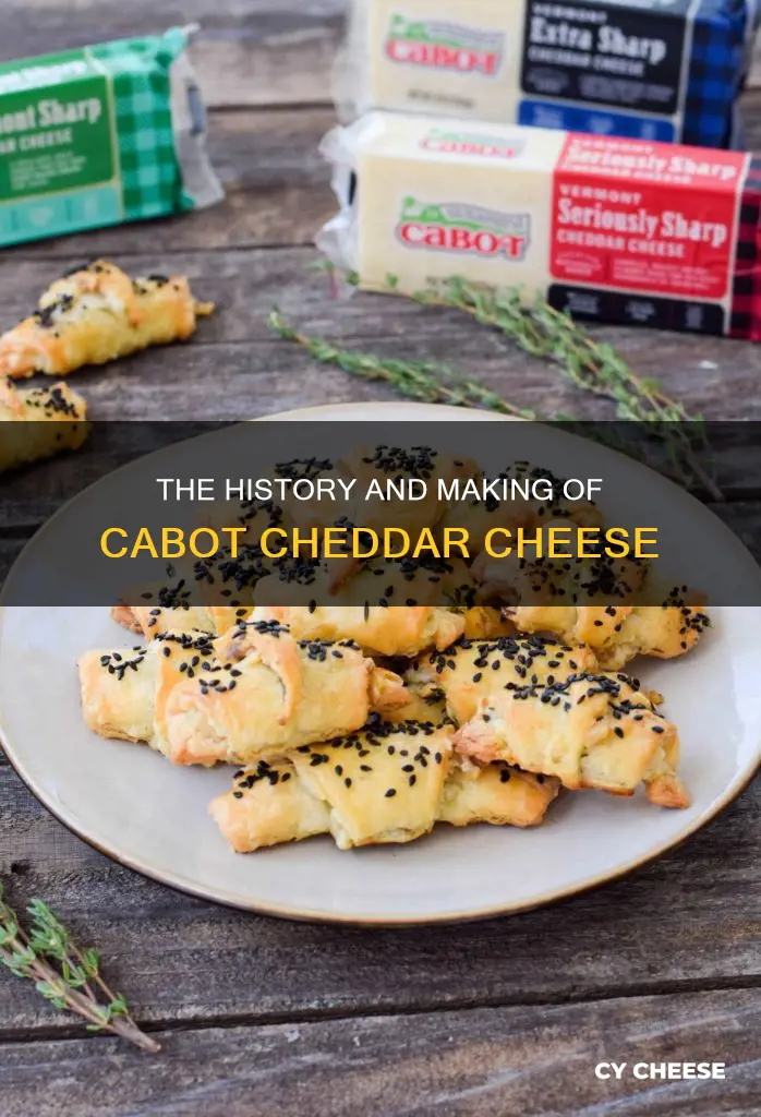 what is cabot cheddar cheese