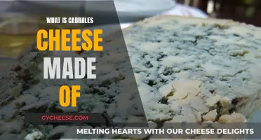 The Making of Cabrales Cheese: A Blue Cheese Legend