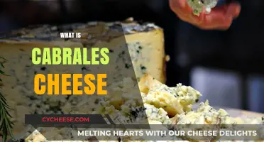 Discovering Cabrales Cheese: Spain's Iconic Blue Cheese Delicacy
