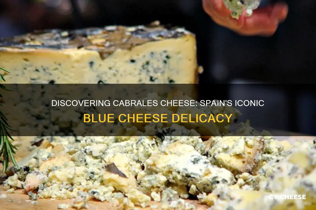 what is cabrales cheese