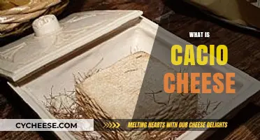 Discover the Rich History and Flavor of Cacio Cheese