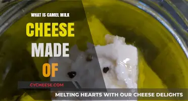 Unveiling the Secrets: Camel's Milk and Cheese Magic