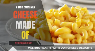 Camel Milk Cheese: A Unique Dairy Delight