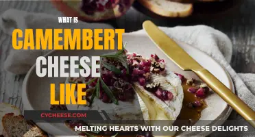 A Creamy, Soft, and Richly Flavored French Cheese Experience