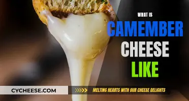 Camembert Cheese: A Creamy, Soft, and Buttery Delicacy