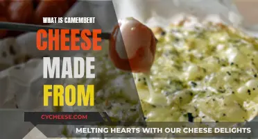 The Magic Ingredients Behind Camembert Cheese