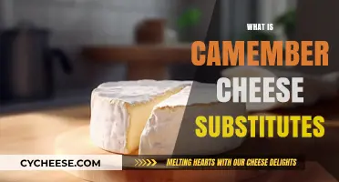 Discover the Best Camembert Cheese Substitutes for Your Recipes
