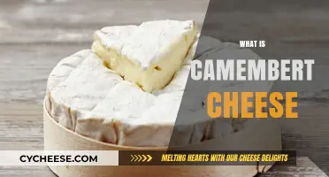 Discovering Camembert: A Creamy French Cheese Delight Explained