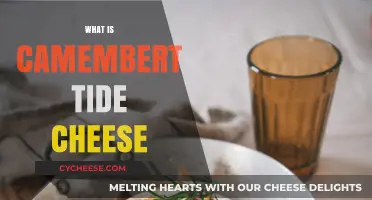 Discovering Camembert Tide Cheese: Origins, Flavor, and Culinary Uses