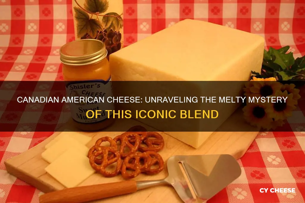 what is canadian american cheese