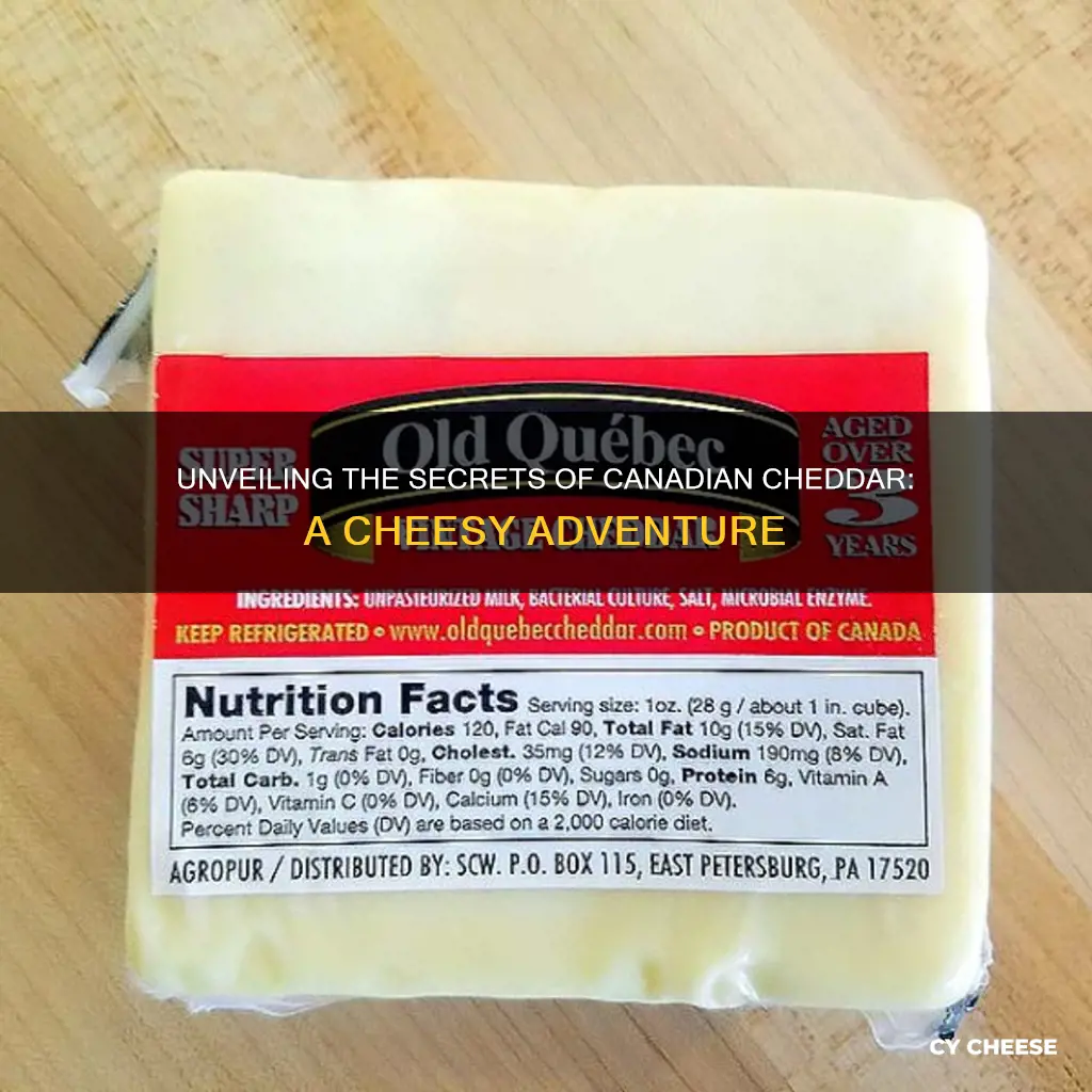 what is canadian cheddar cheese