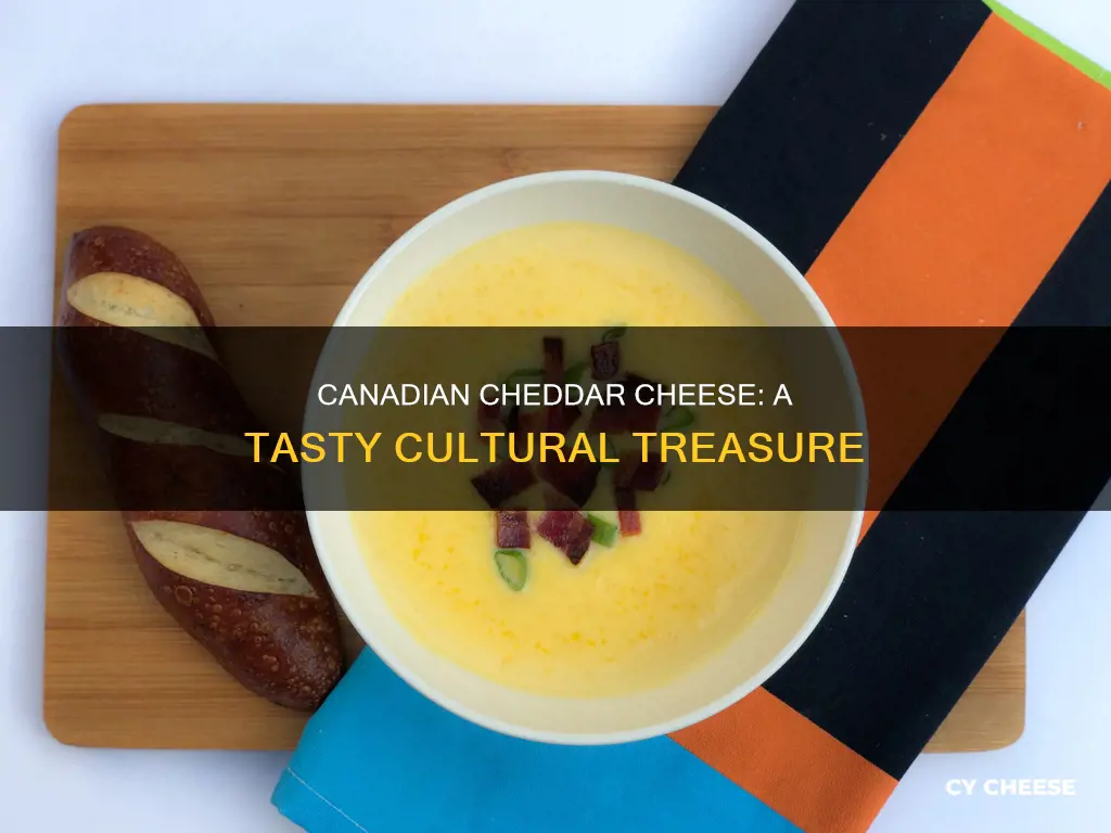 what is canadian cheddar cheese