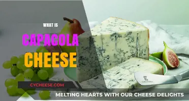 Discover the Unique Flavor and Origin of Capacola Cheese