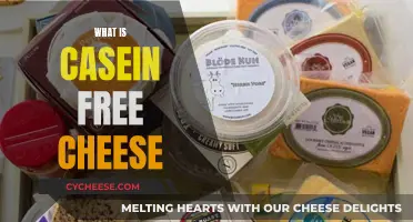 Discovering Casein-Free Cheese: What's the Deal?