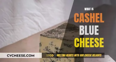 Cashel Blue Cheese: A Delicious Irish Dairy Delight