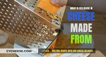 Cellulose in Cheese: What's It Made Of?