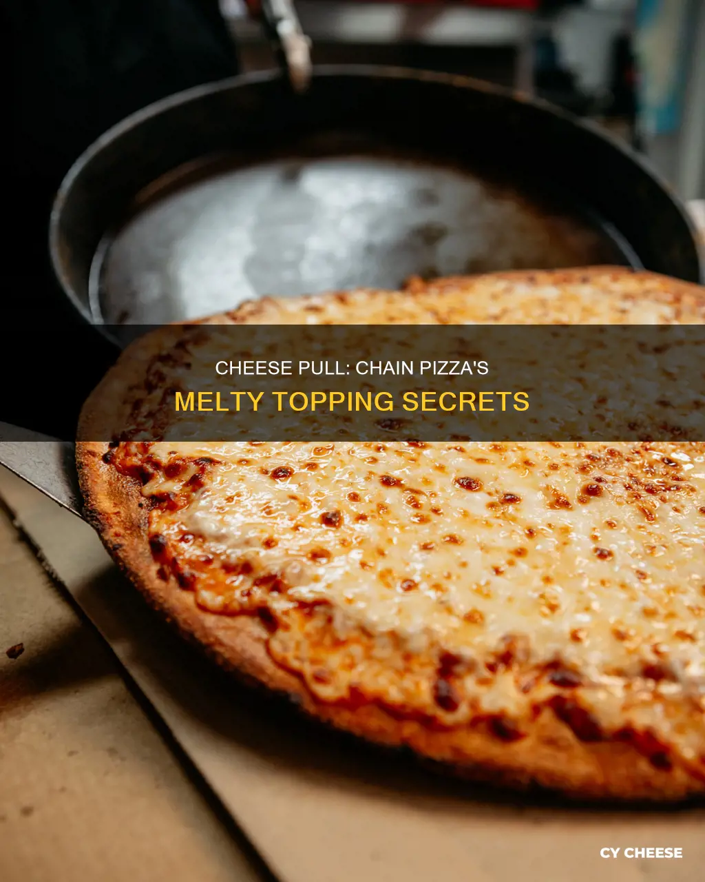 what is chain pizza cheese made of