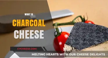 Discover Charcoal Cheese: Unique Flavor, Health Benefits, and Culinary Uses