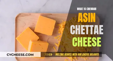 Unveiling the Cheddar Mystery: What's the Deal with Asin Chettae?