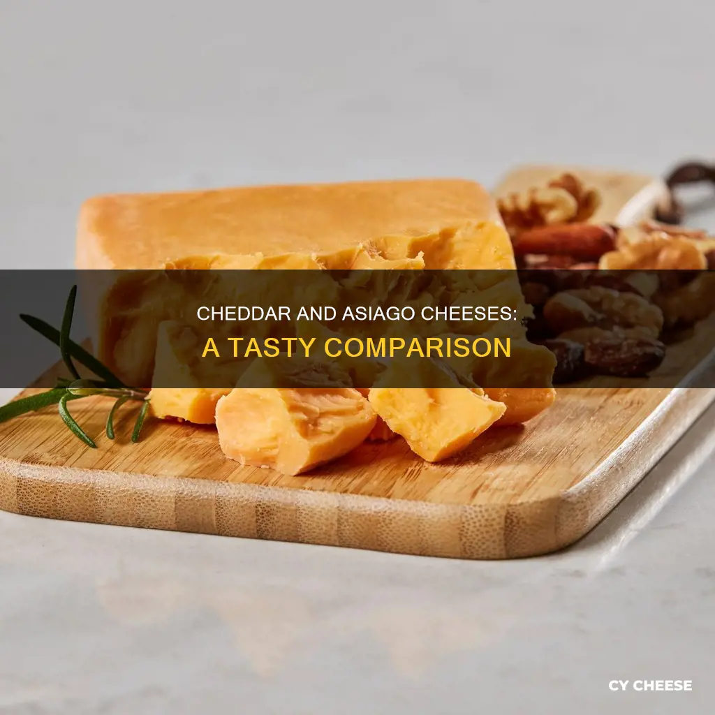 what is cheddar asin chettae cheese