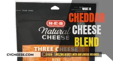 Exploring the Cheddar Blend: A Cheesy Adventure