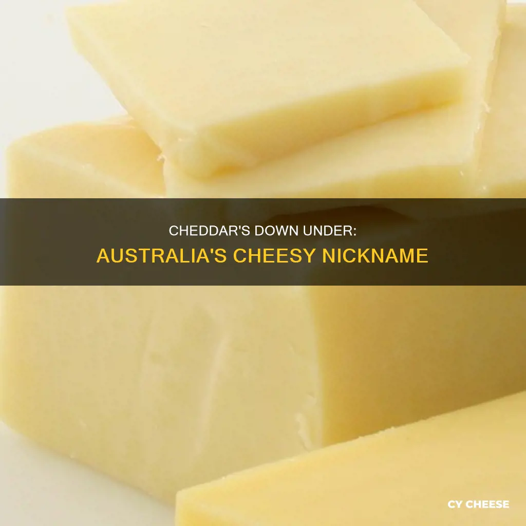 what is cheddar cheese called in australia