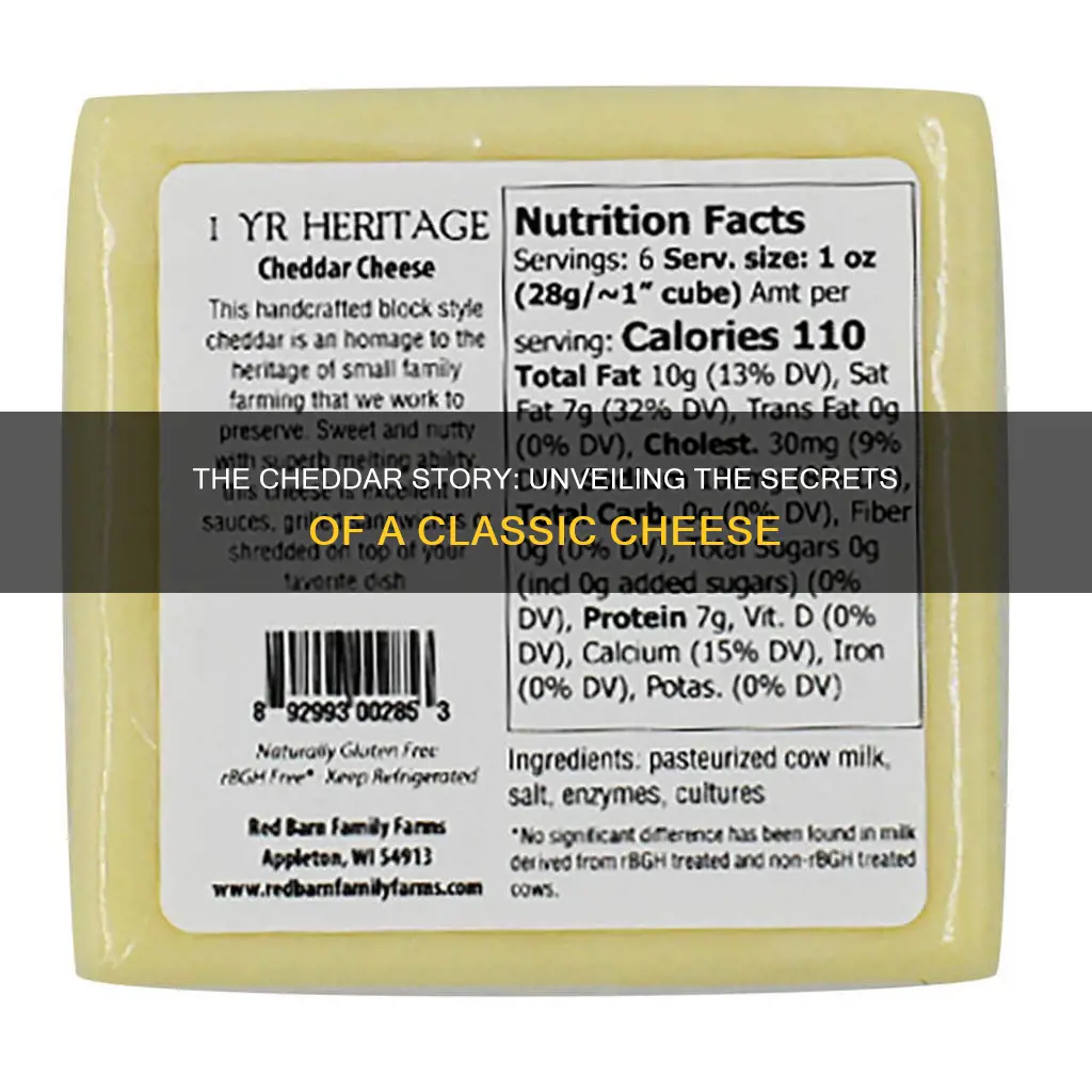 what is cheddar cheese made off