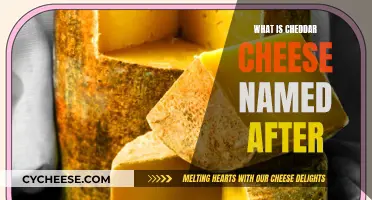 Cheddar's Origin: Unveiling the Cheese's Historical Name