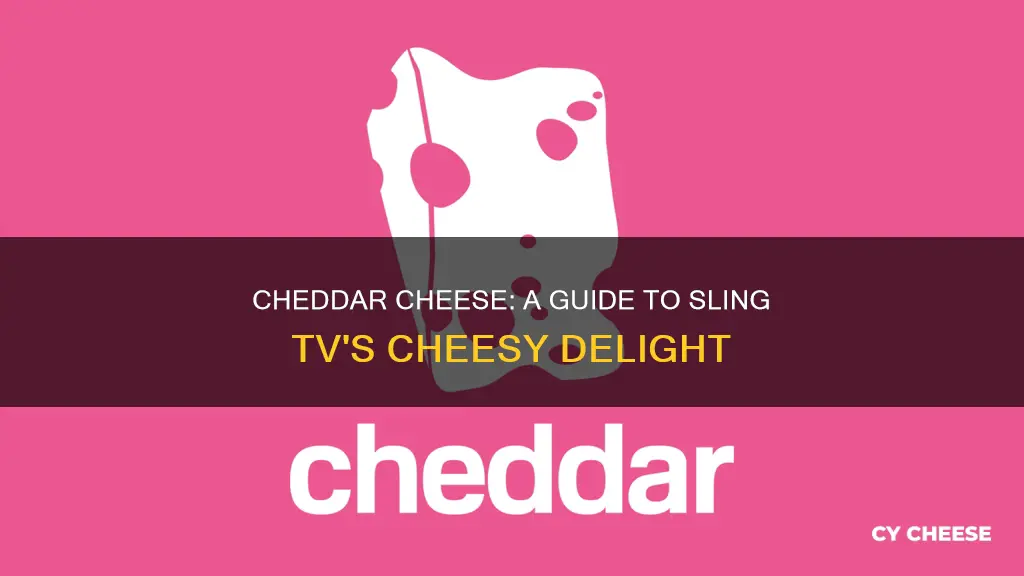 what is cheddar cheese on sling tv