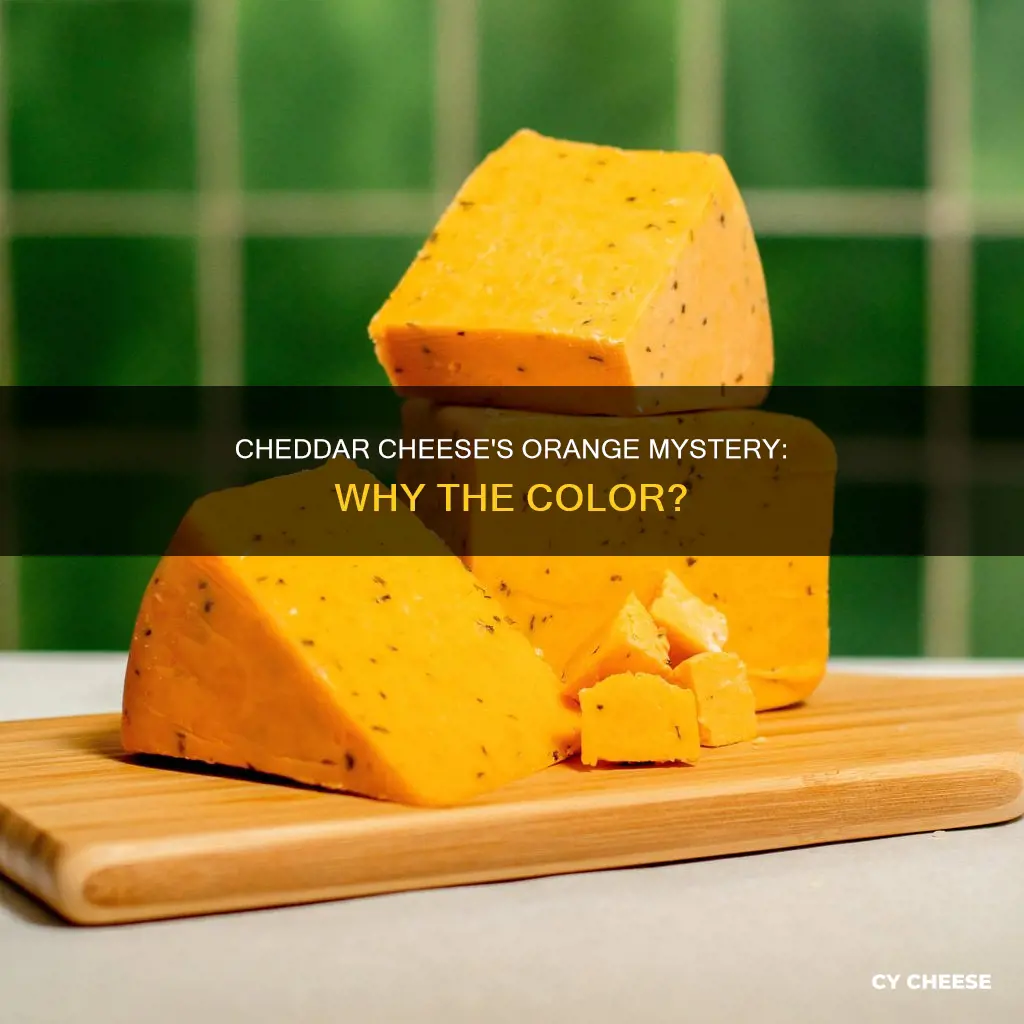 what is cheddar cheese orange color