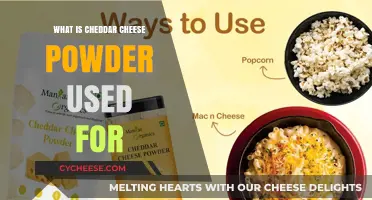 Cheddar Cheese Powder: Uses and Applications