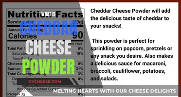 Unveiling the Magic: Cheddar Cheese Powder Explained