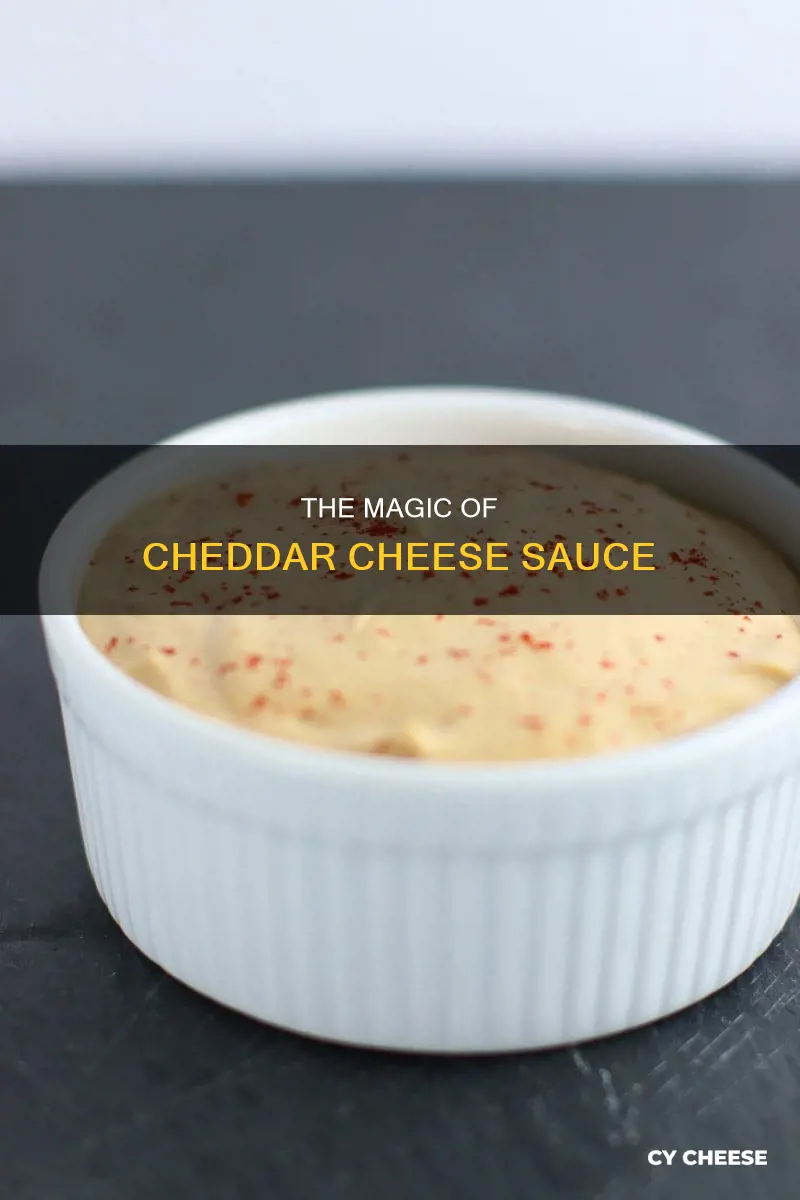 what is cheddar cheese sauce