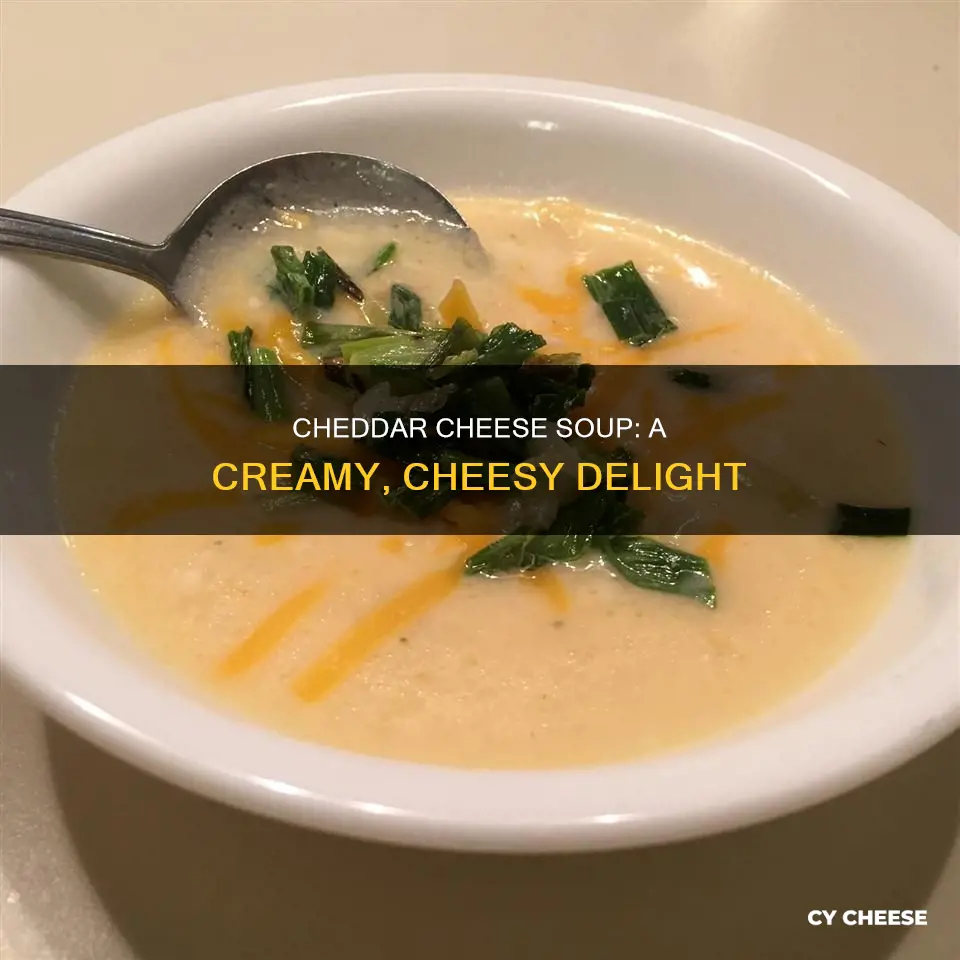 what is cheddar cheese soup