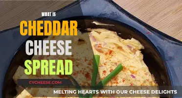 Unveiling Cheddar's Creamy Spread: A Tasty Adventure