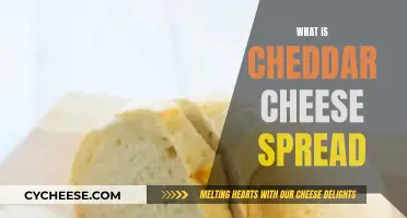 Cheddar Cheese Spread: A Tasty, Versatile Topping